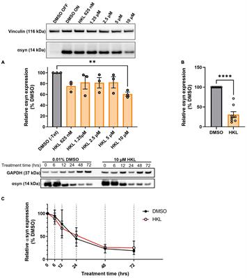 Honokiol decreases alpha-synuclein mRNA levels and reveals novel targets for modulating alpha-synuclein expression